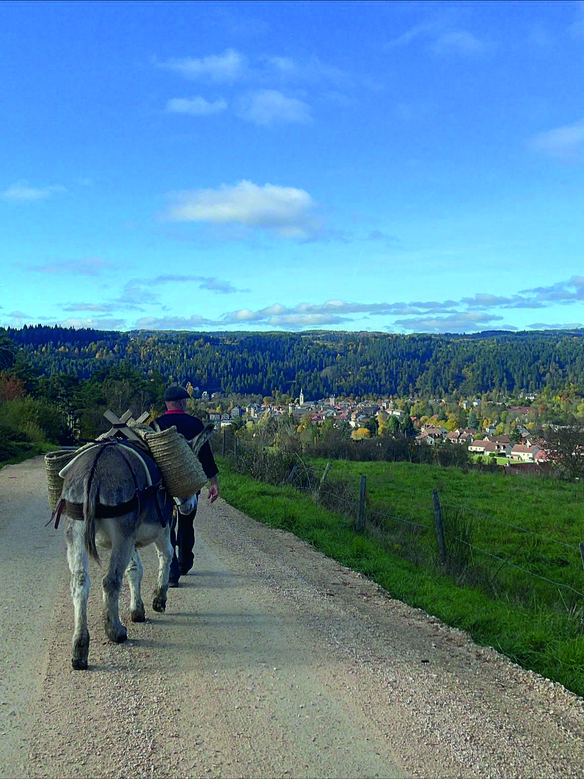 SORTIE NATURE : BALADE CONTÉE AVEC UN ÂNE