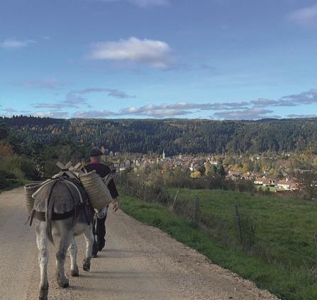 Petit Chateau du Villard