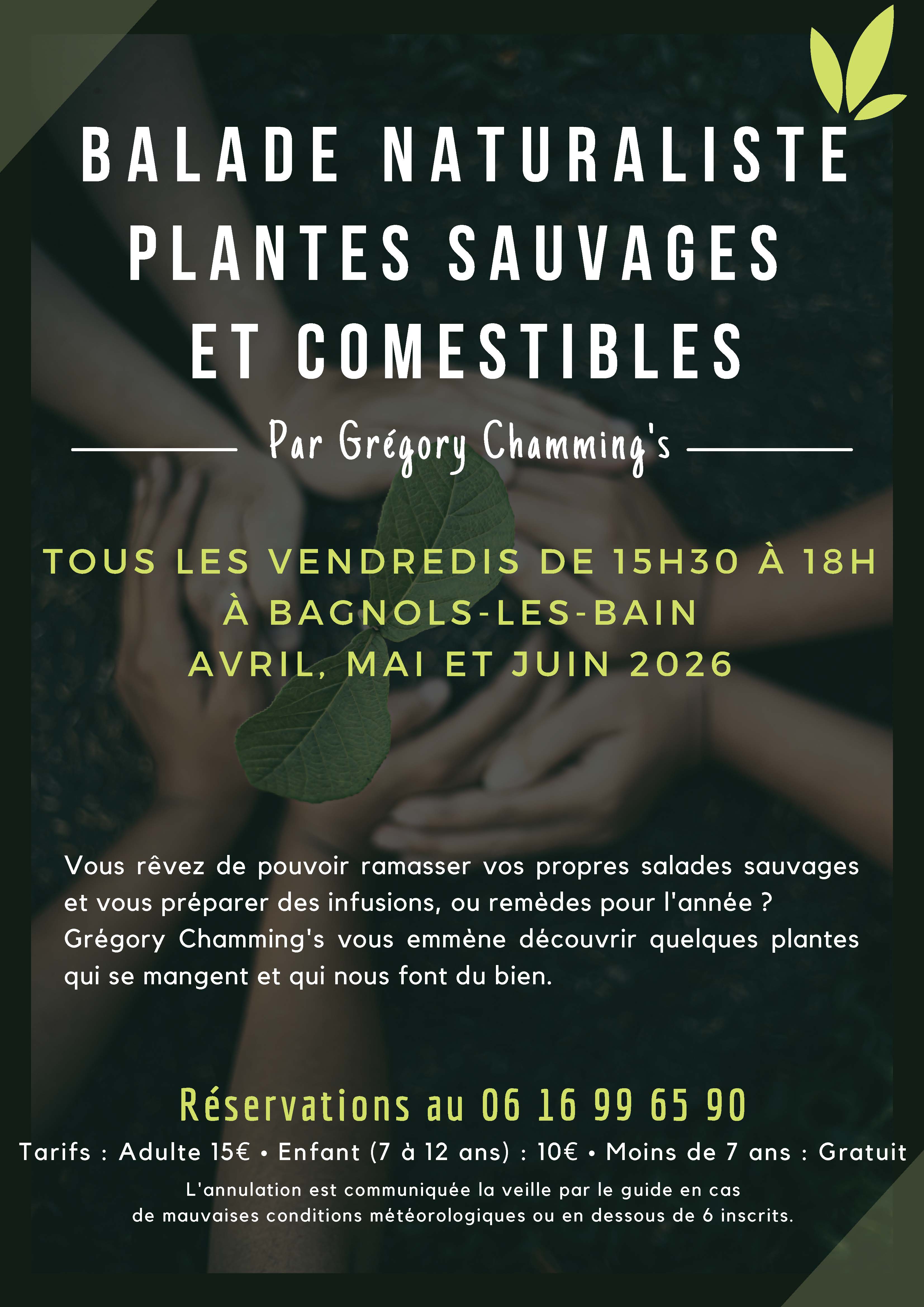 BALADE NATURALISTE : PLANTES SAUVAGES ET COMESTIBLES