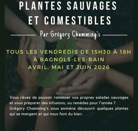 Plantes comestibles avril - mai - juin 2026