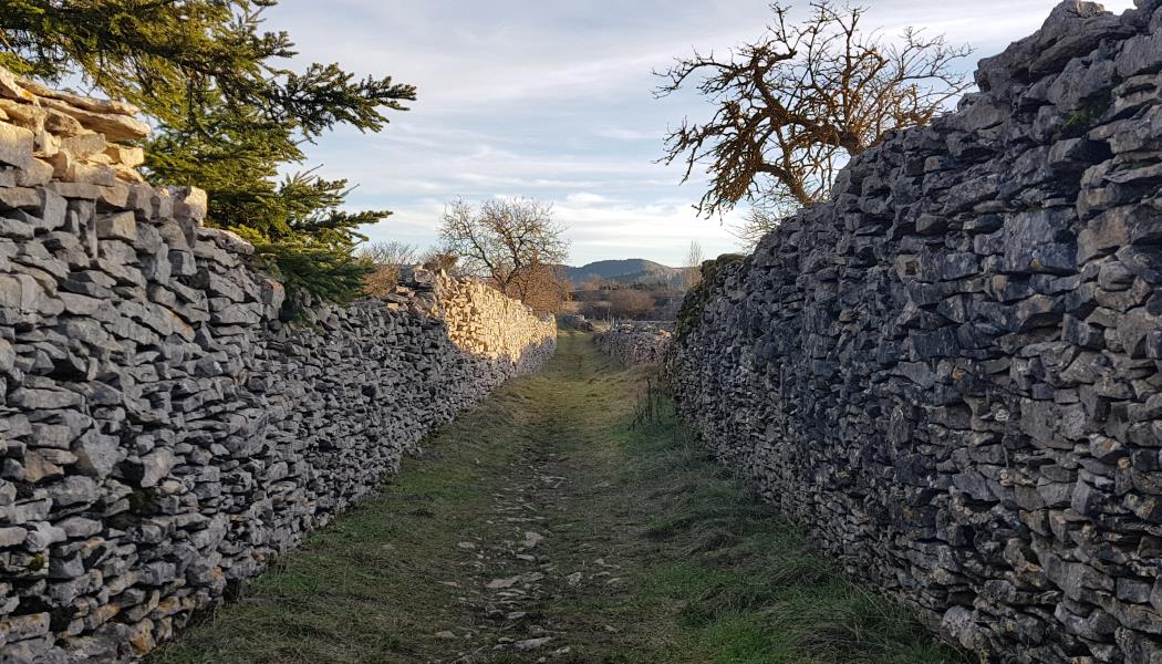Plateau de la Cham_chemin murs