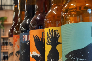 Design sans titre - 1