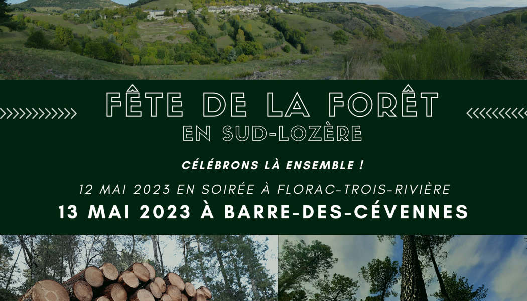Teasing Fête de la Forêt - 1