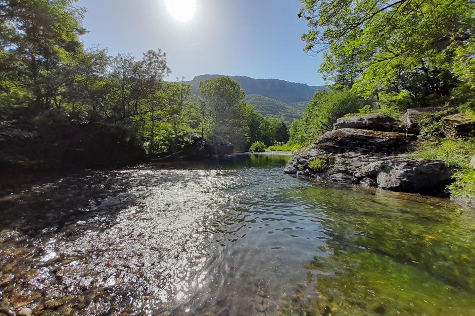Rivière Le Tarnon 