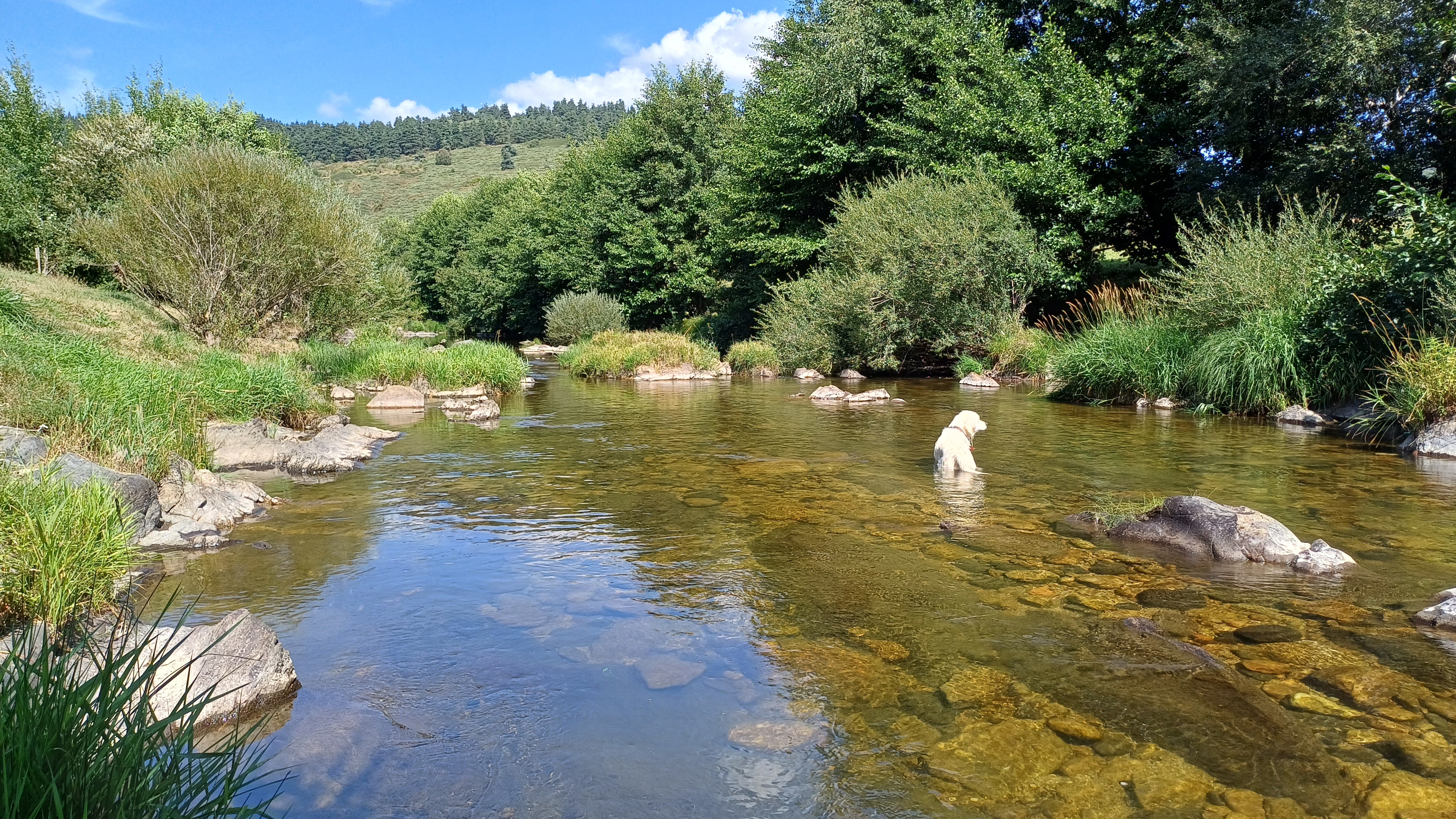 CAMPING LA CIGALE DE L'ALLIER, Langogne - photo 11