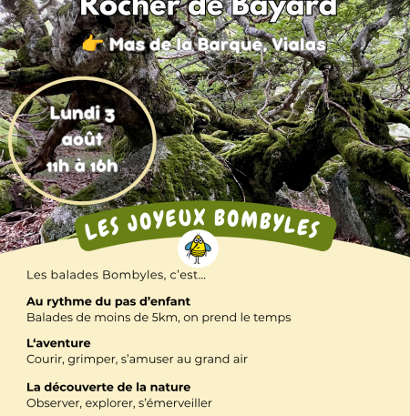 Rocher de Bayard - 1