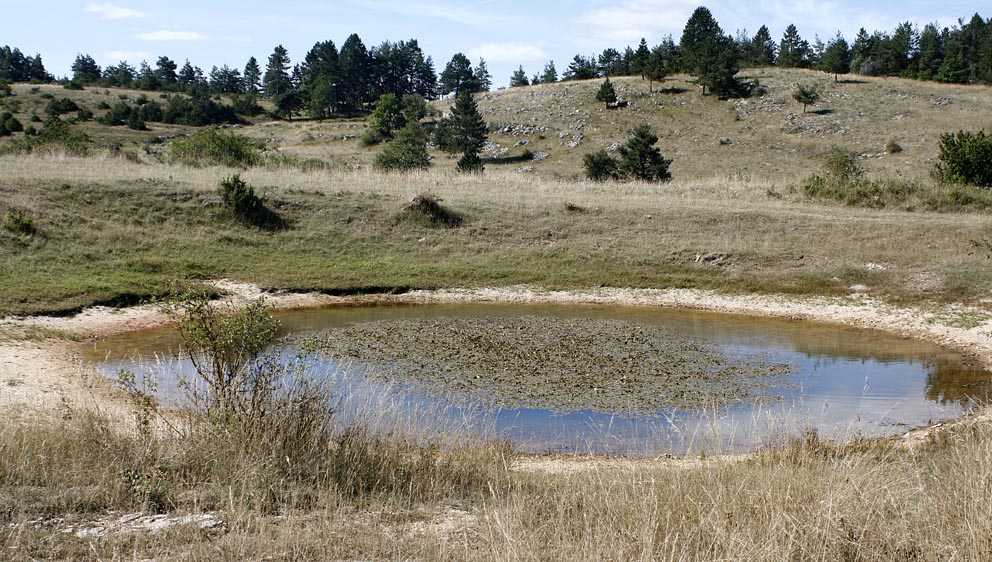 CAUSSE DE SAUVETERRE