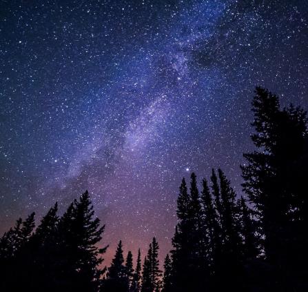 Solistes sous les étoiles