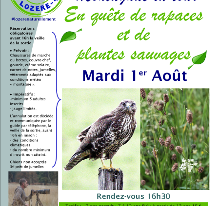 Sorties-Nature-Gregory-BaladeEnquêtedeRapaces-1-08