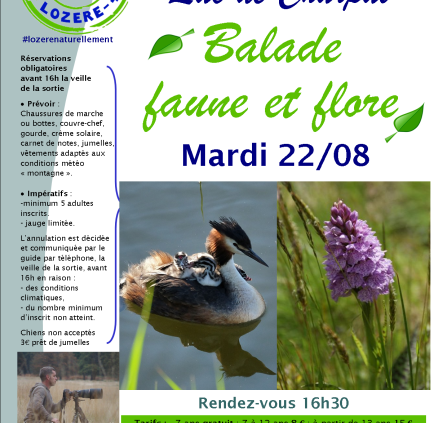Sorties-Nature-Gregory-BaladeFauneetFlore-Charpal-22-08