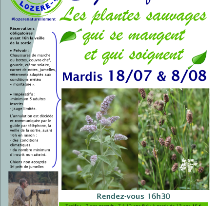 Sorties-Nature-Gregory-Lesplantes sauvages-StJean-18-07et8-08
