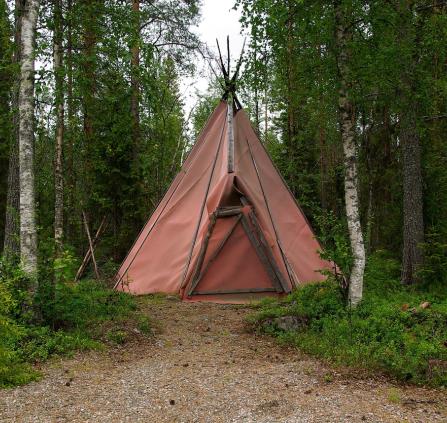 Tipi