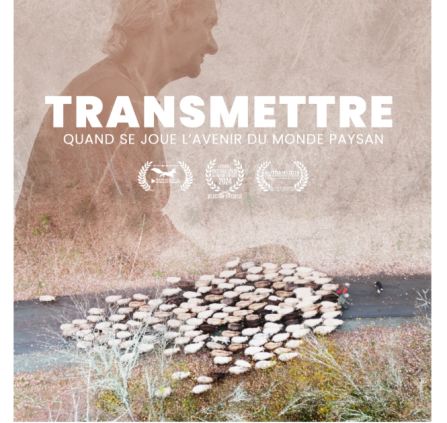 Transmettre par Jérôme Zindy