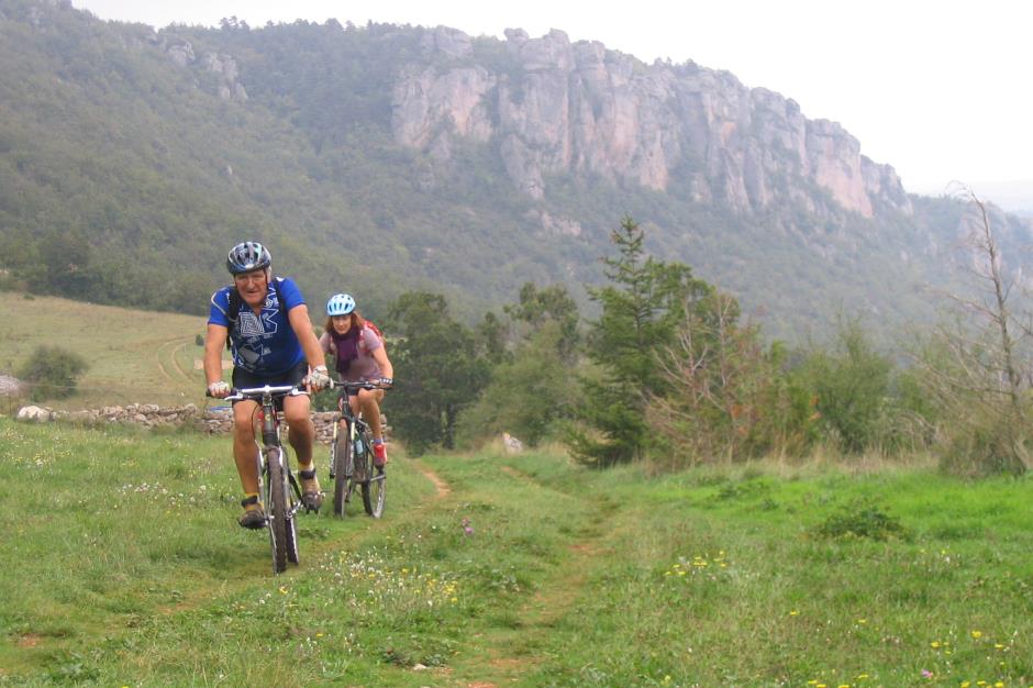 VTT fremyc 