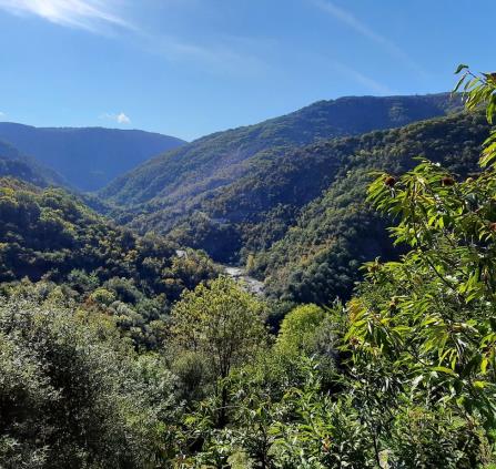 Vallée de la Borne
