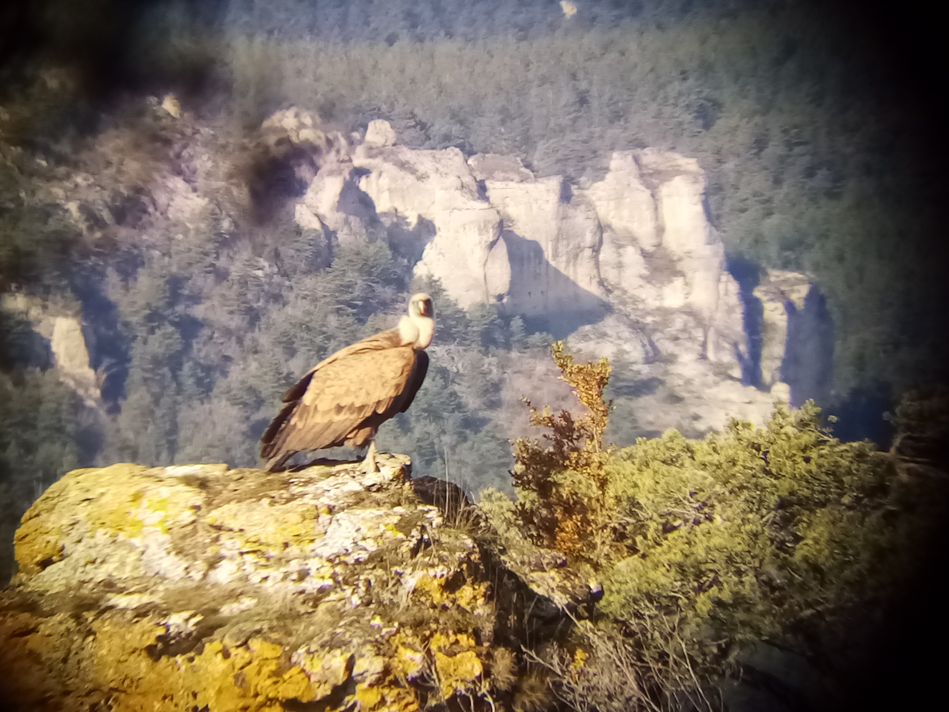 PLUME RANDOS, Vebron - photo 2
