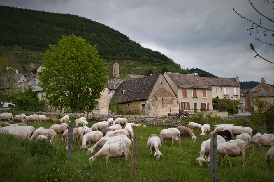 Village Lanuejols©Morgane OtMontLozère 