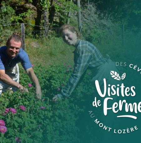 VisiteFermes2024_PlantesCevennes