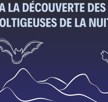 Sortie Voltigeuses de la nuit