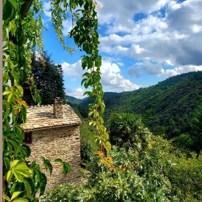GÎTE DE COMBELEBOUZE