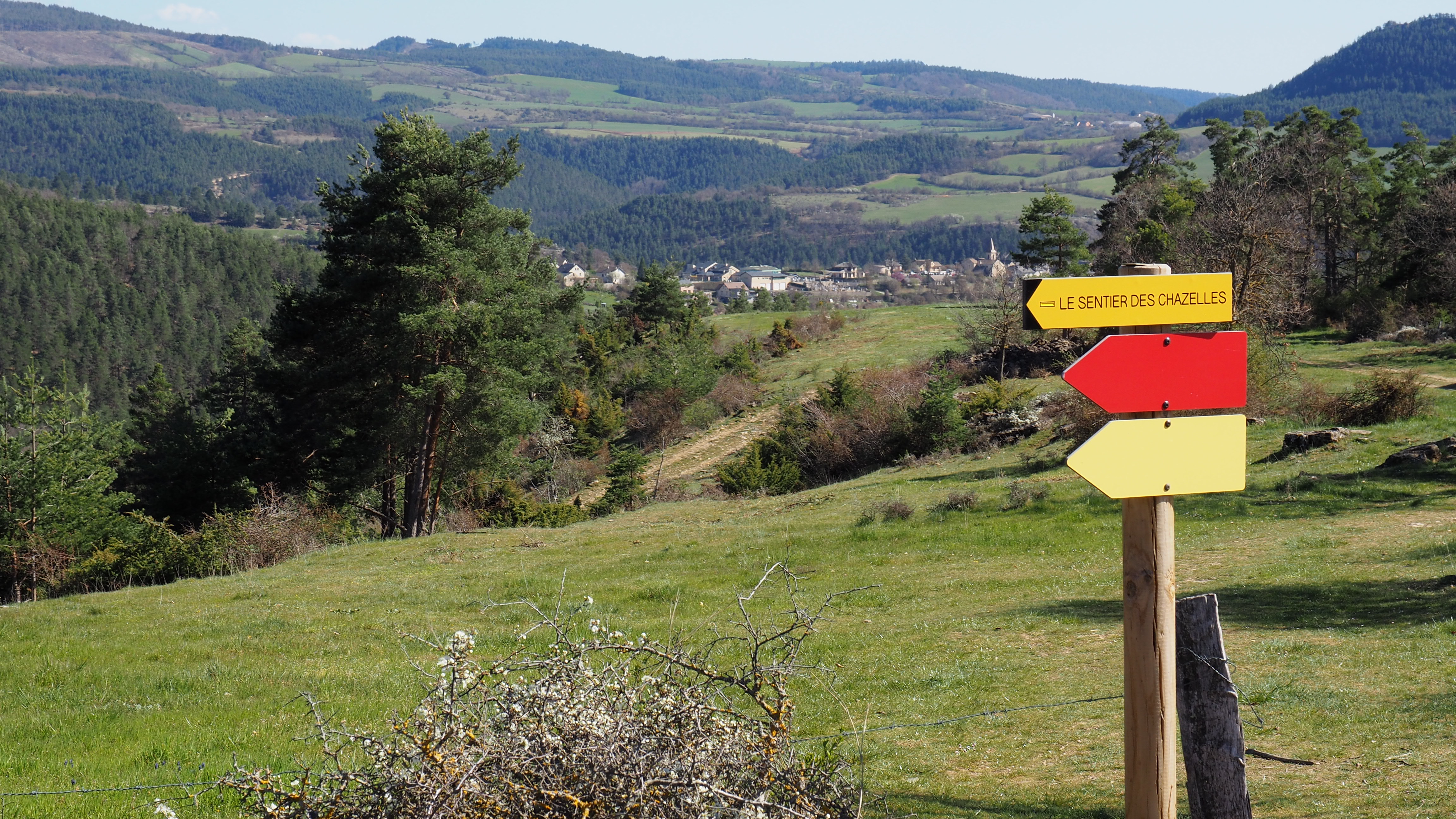 MONTRODAT, Montrodat