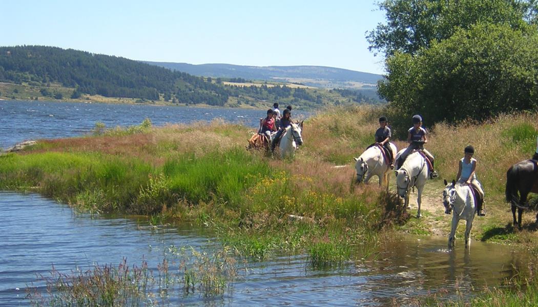 Promenade à cheval au bord du Lac