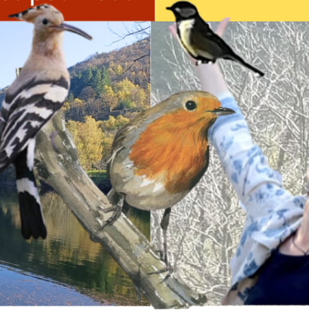 Atlas de la Biodiversité Communale DE VILLEFORT & POURCHARESSES