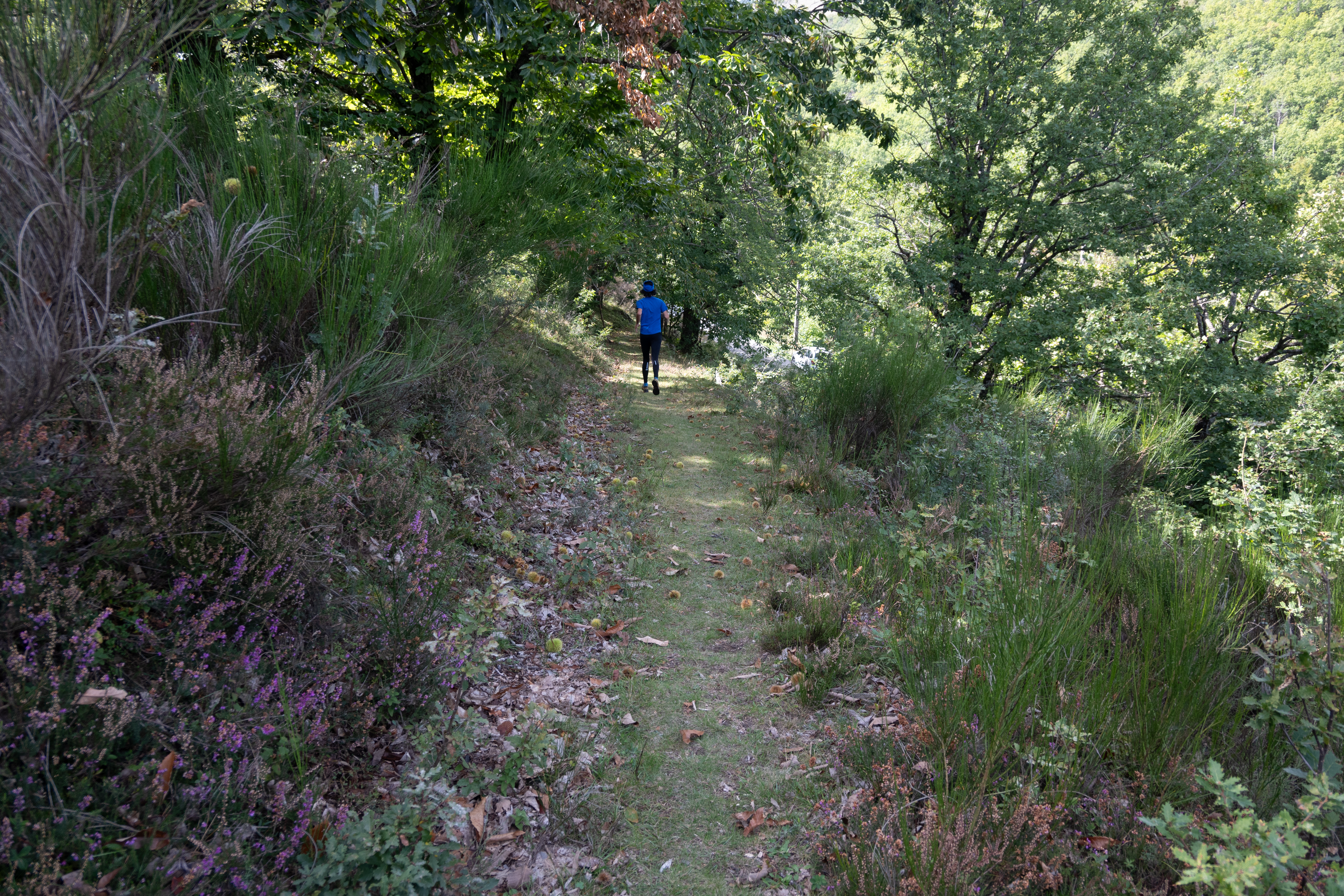 Ablatats- Trail n°31