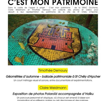 affiche-cest-mon-patrimoine.cine.theatre