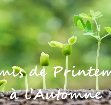 affiche-semis-automne(1)