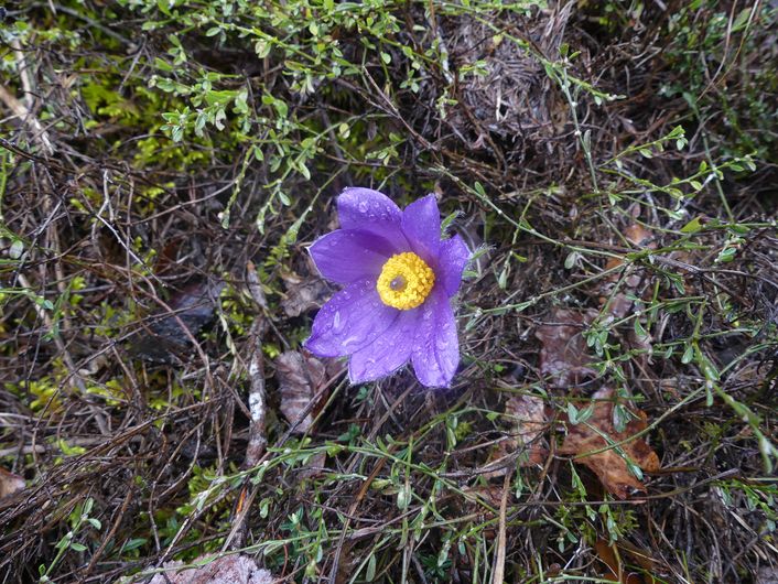 Baousse del Biel — photo 2