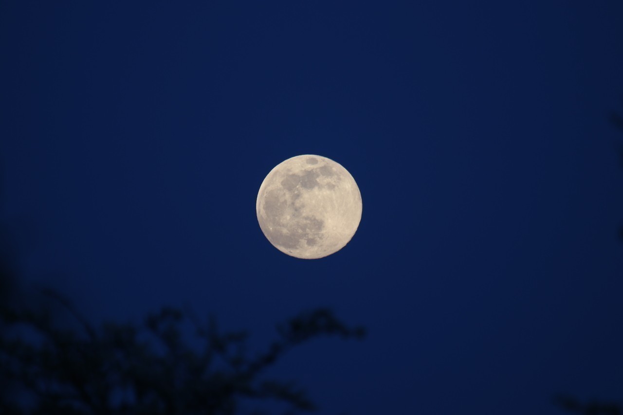 SORTIES NATURE "INITIATION À L'ASTRONOMIE"