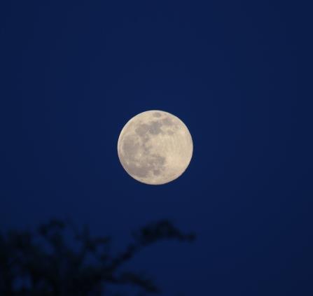 Lune
