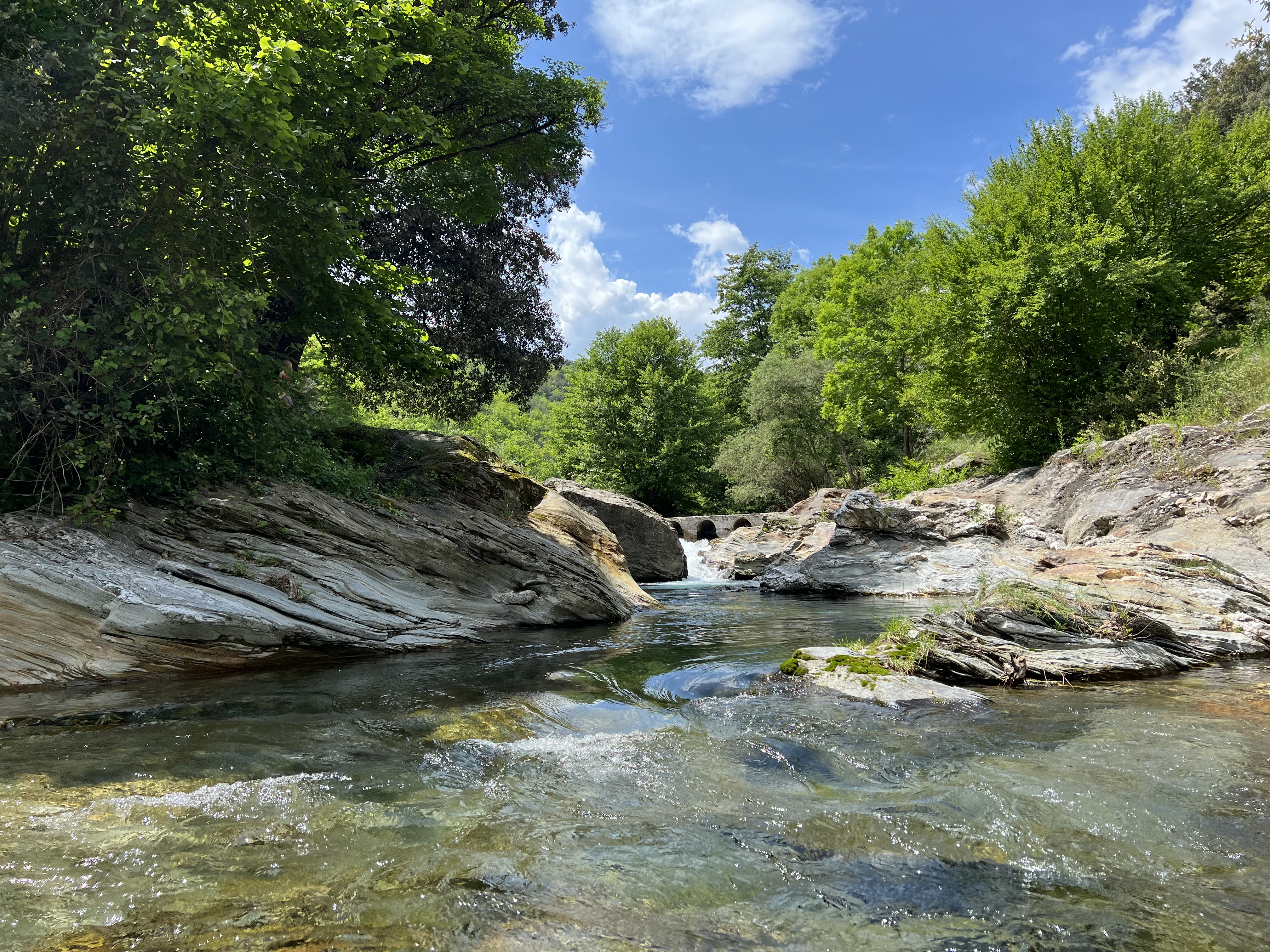ECOGÎTE CÉVENOLA, Molezon - photo 7