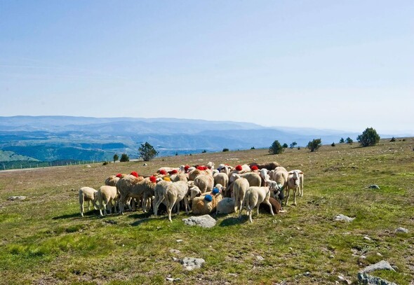 RENCONTRES PASTORALES