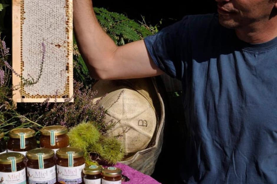 bastien-alise-apiculteur-producteur-de-miel-dans-les-cevennes-en-lozère 