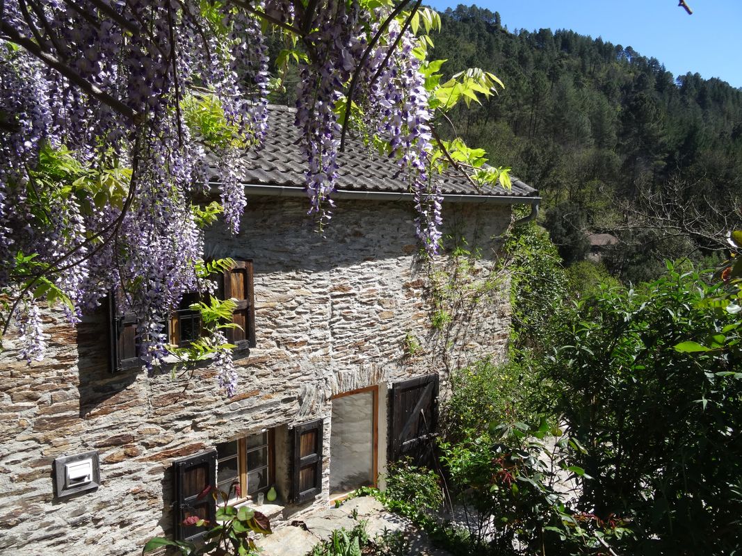 GÎTE LOU GRANA, Le Collet-de-Dèze - photo 2