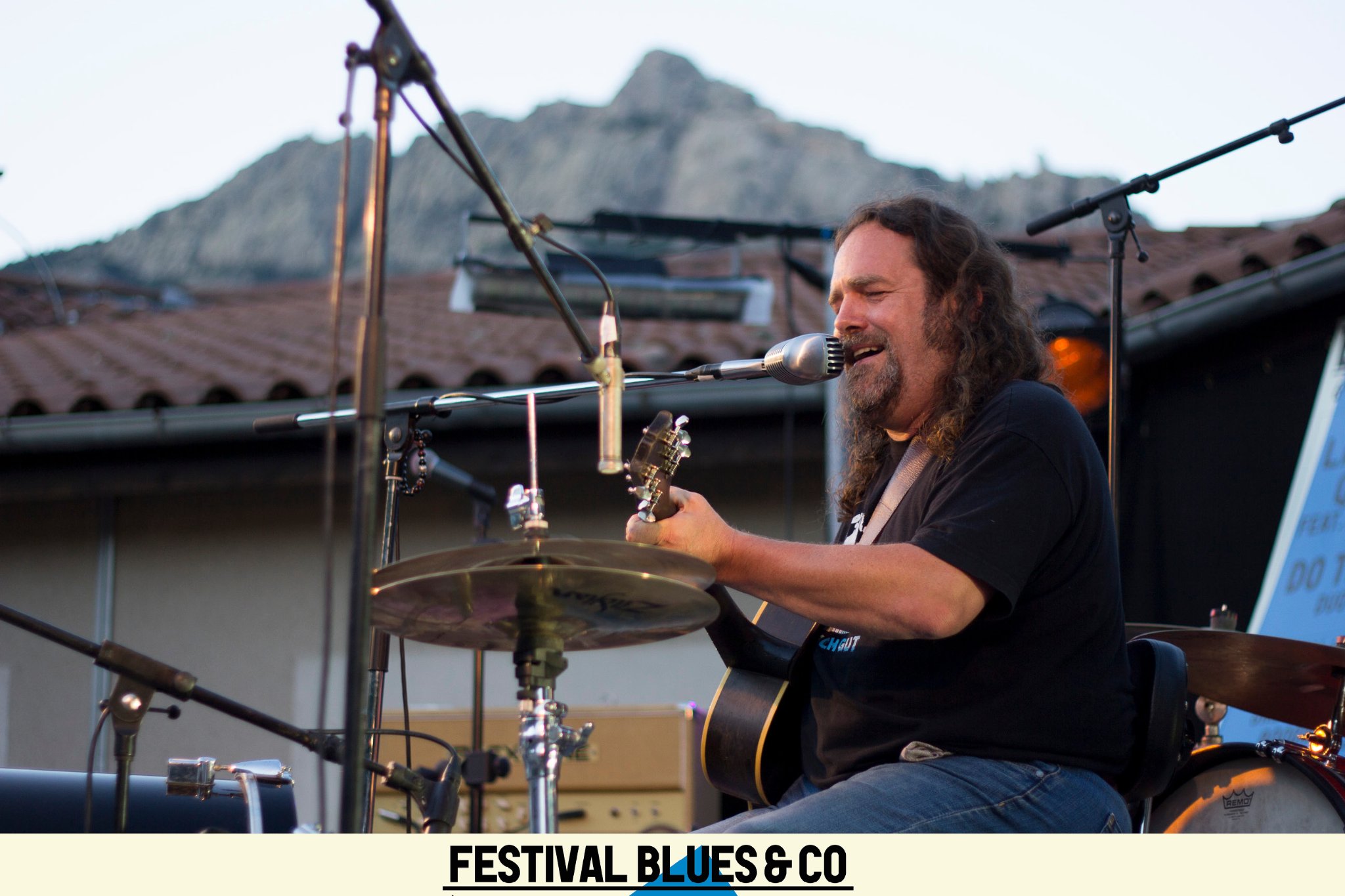 FESTIVAL BLUES AND CO