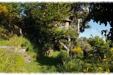 cabane-ouest-escalier