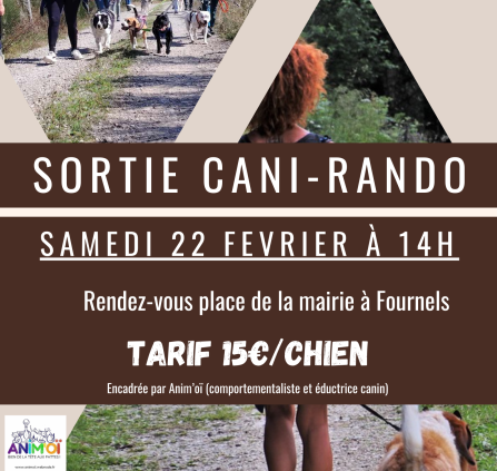 Animations affiches - cani rando