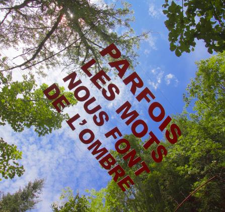 caron parfois les mots copie