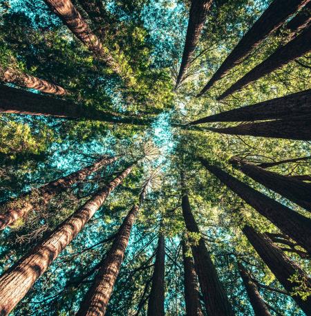 casey-horner-4rDCa5hBlCs-unsplash