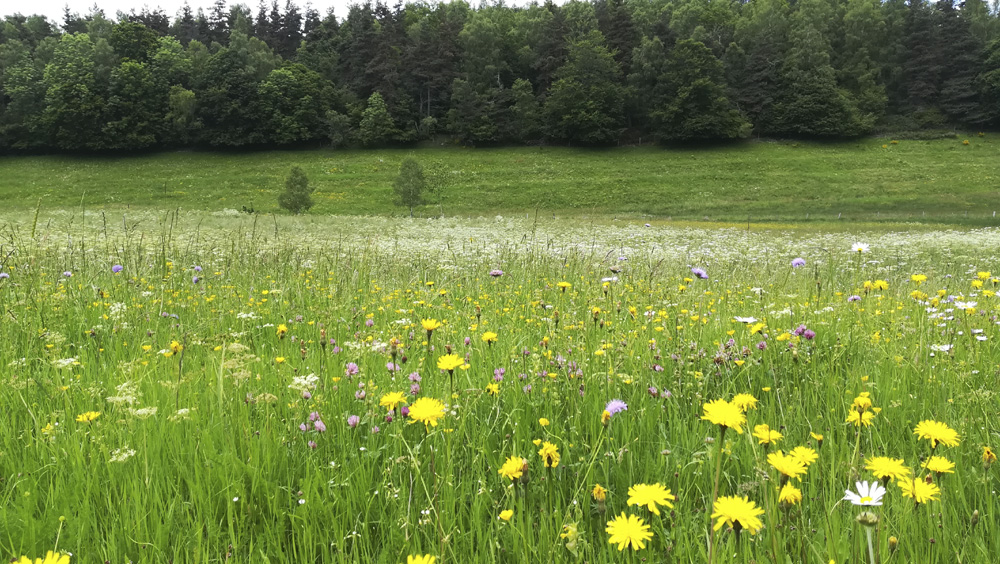 Chabestras - Trail n°32