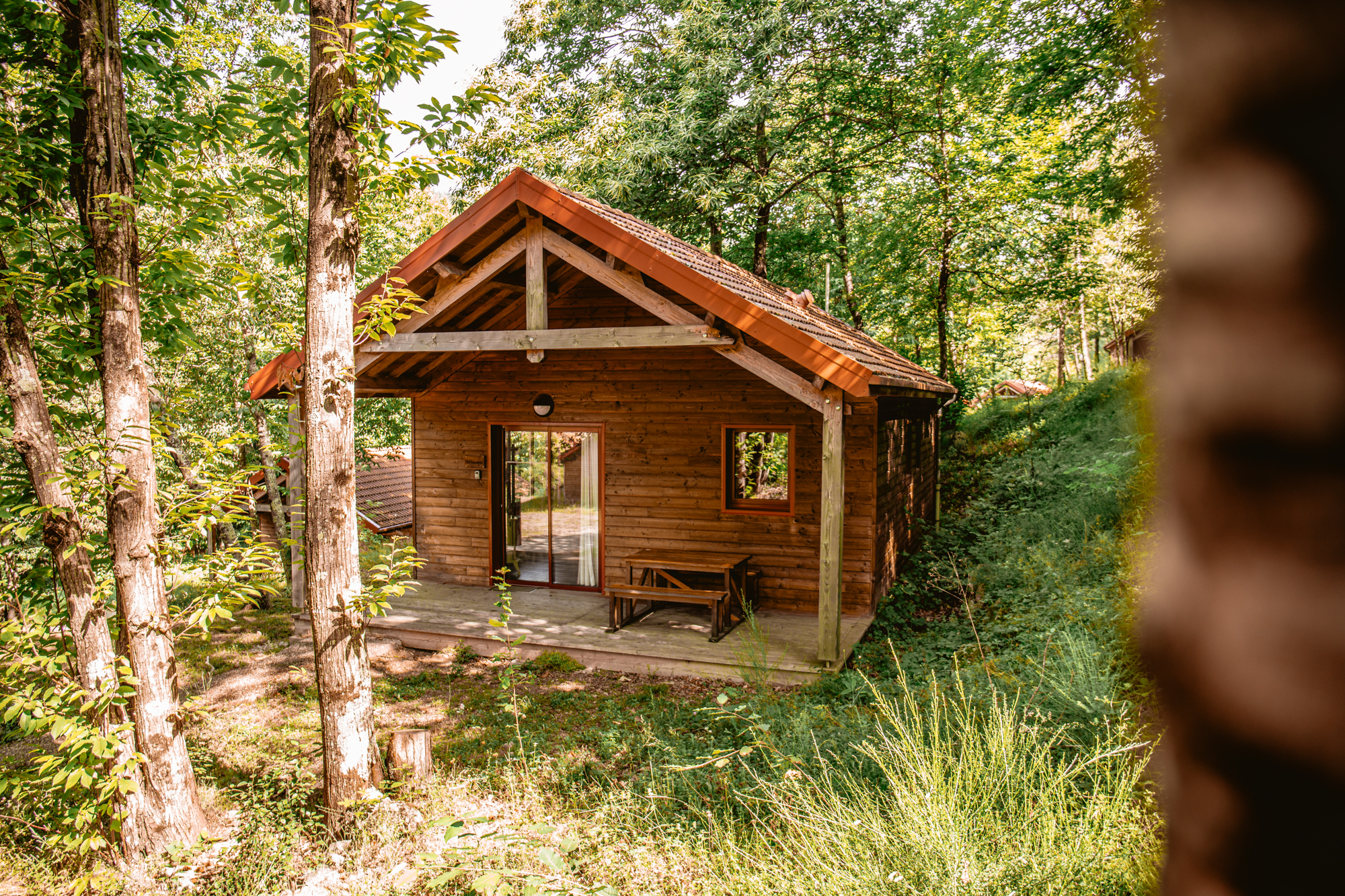 LES CHATAIGNIERS DU LAC - photo 4