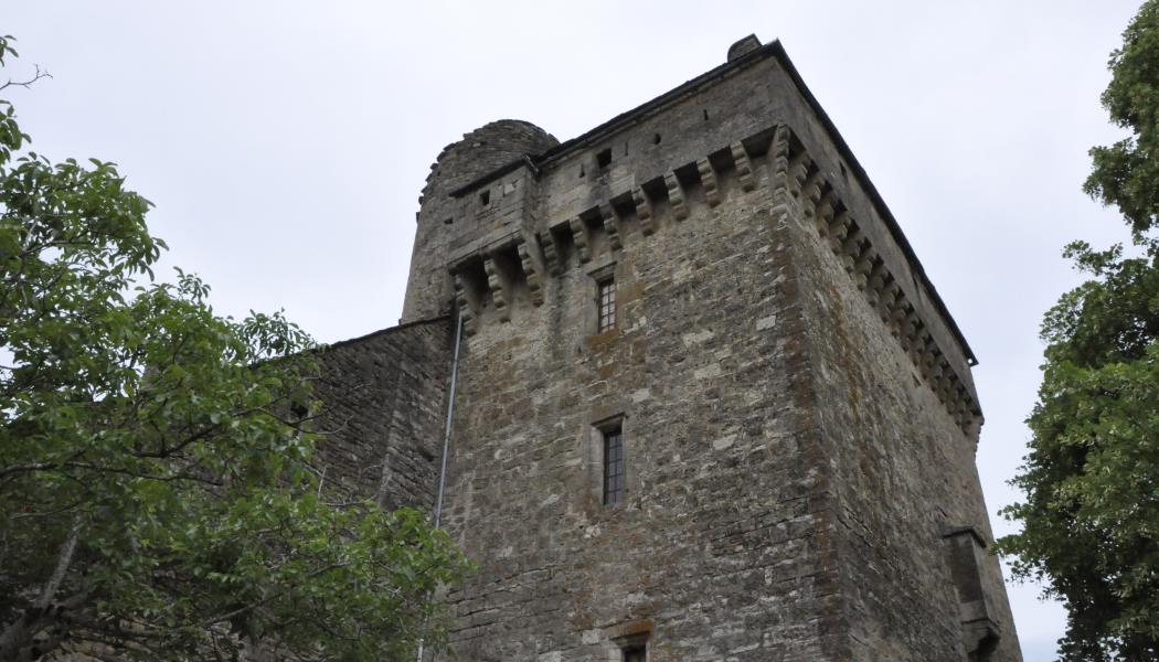 Château  de Montjezieu