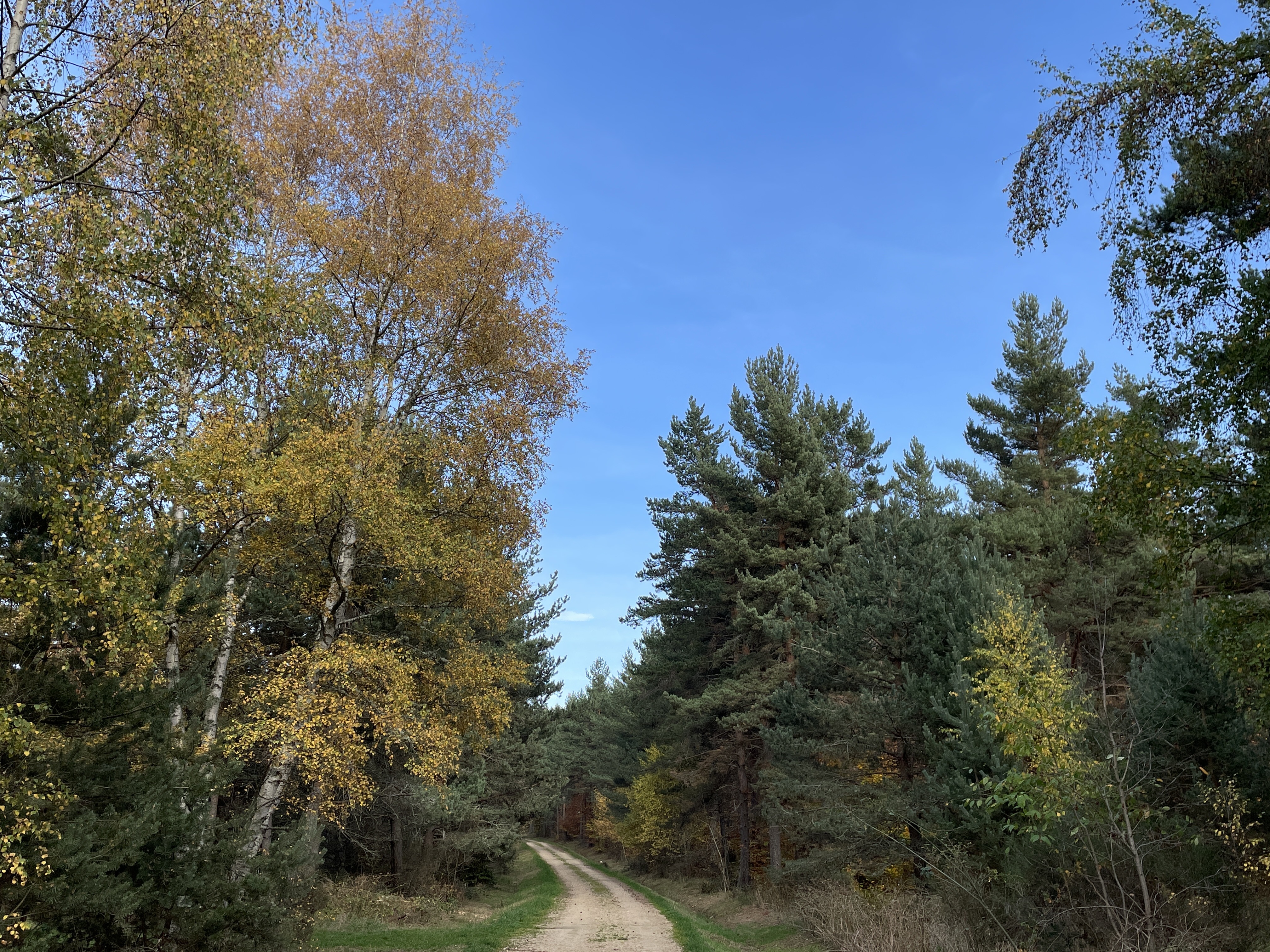 Sur les traces de Robert Louis Stevenson - Trail n°42