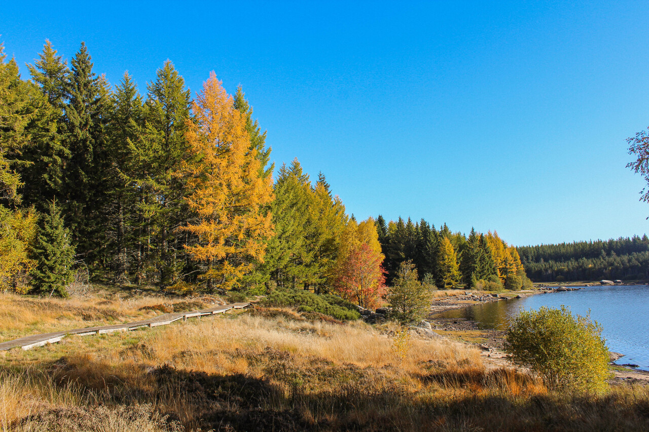 De Châteauneuf au lac Charpal - Trail n°23