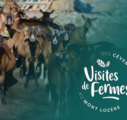 Ferme de Cocagne