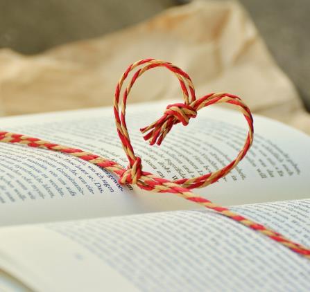 congerdesign-a-book-1760998_1280