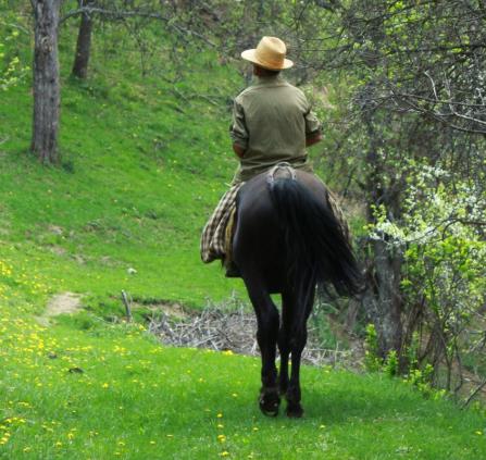 Design sans titre - 1